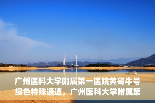 广州医科大学附属第一医院黄哥牛号绿色特殊通道，广州医科大学附属第一医院黄哥牛号，绿色特殊通道开启健康之门