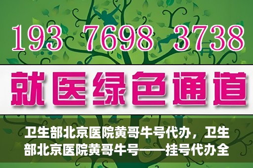 卫生部北京医院黄哥牛号代办，卫生部北京医院黄哥牛号——挂号代办全攻略