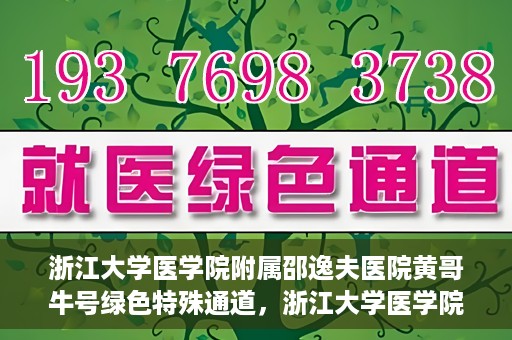 浙江大学医学院附属邵逸夫医院黄哥牛号绿色特殊通道，浙江大学医学院附属邵逸夫医院绿色特殊通道，黄哥牛号的传奇之路