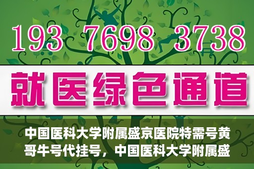 中国医科大学附属盛京医院特需号黄哥牛号代挂号，中国医科大学附属盛京医院特需号黄哥牛号代挂号背后的故事与真相揭秘