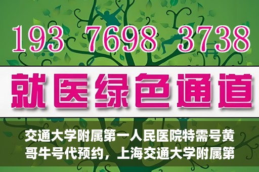 交通大学附属第一人民医院特需号黄哥牛号代预约，上海交通大学附属第一人民医院特需号预约服务解析——黄哥牛号预约指南