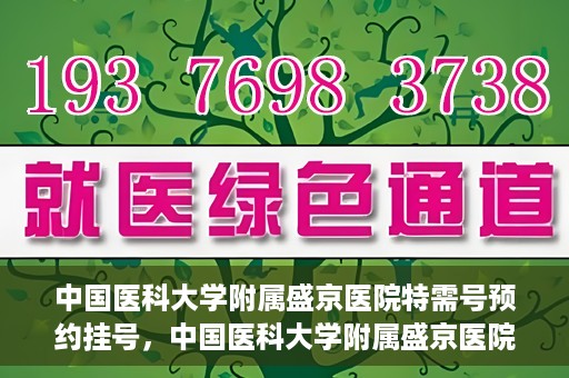 中国医科大学附属盛京医院特需号预约挂号，中国医科大学附属盛京医院特需号预约挂号攻略，一站式解决您的挂号难题