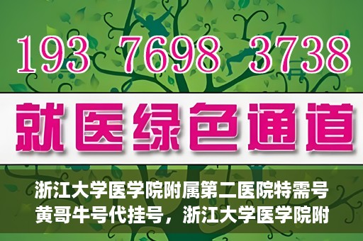 浙江大学医学院附属第二医院特需号黄哥牛号代挂号，浙江大学医学院附属第二医院特需号名医黄哥牛号代挂号服务解析