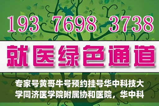 专家号黄哥牛号预约挂号华中科技大学同济医学院附属协和医院，华中科技大学同济医学院附属协和医院专家号黄哥牛预约挂号指南