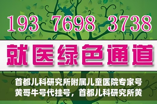 首都儿科研究所附属儿童医院专家号黄哥牛号代挂号，首都儿科研究所黄哥专家号代挂号解析，专业医疗资源的预约与利用