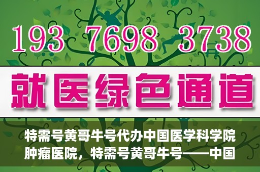 特需号黄哥牛号代办中国医学科学院肿瘤医院，特需号黄哥牛号——中国医学科学院肿瘤医院代办服务详解