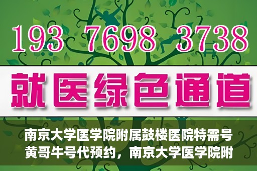 南京大学医学院附属鼓楼医院特需号黄哥牛号代预约，南京大学医学院附属鼓楼医院黄哥特需号预约服务解析