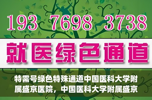 特需号绿色特殊通道中国医科大学附属盛京医院，中国医科大学附属盛京医院特需号绿色特殊通道服务解析