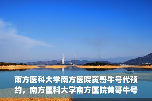 南方医科大学南方医院黄哥牛号代预约，南方医科大学南方医院黄哥牛号预约服务解析