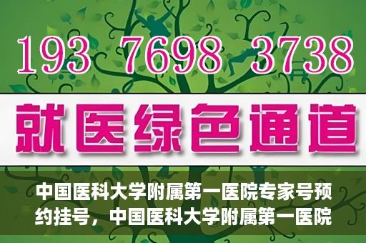 中国医科大学附属第一医院专家号预约挂号，中国医科大学附属第一医院专家号预约挂号攻略，一站式解决您的就医需求