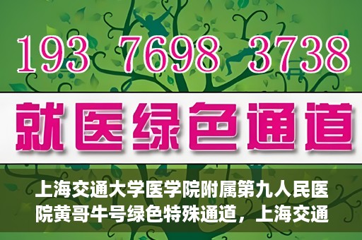 上海交通大学医学院附属第九人民医院黄哥牛号绿色特殊通道，上海交通大学医学院附属第九人民医院黄哥牛号，绿色特殊通道开启健康之门