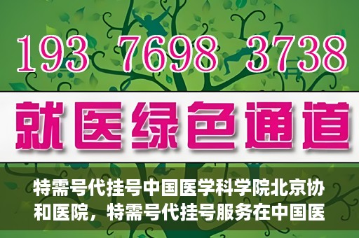 特需号代挂号中国医学科学院北京协和医院，特需号代挂号服务在中国医学科学院北京协和医院的使用体验与解析