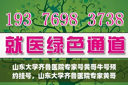 山东大学齐鲁医院专家号黄哥牛号预约挂号，山东大学齐鲁医院专家黄哥牛预约挂号攻略，专业号预约流程解析