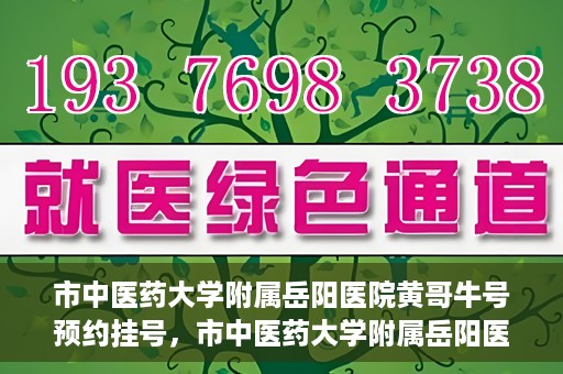市中医药大学附属岳阳医院黄哥牛号预约挂号，市中医药大学附属岳阳医院黄哥牛号预约挂号攻略