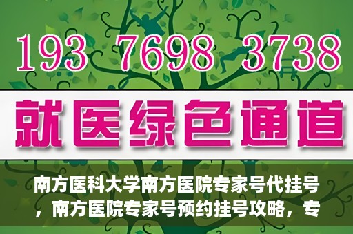 南方医科大学南方医院专家号代挂号，南方医院专家号预约挂号攻略，专业解读与便捷服务体验