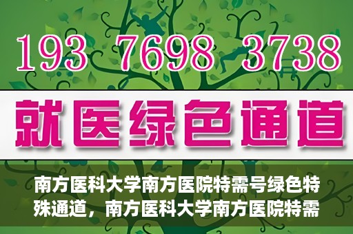南方医科大学南方医院特需号绿色特殊通道，南方医科大学南方医院特需服务绿色快速通道