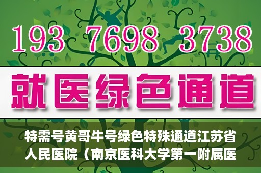 特需号黄哥牛号绿色特殊通道江苏省人民医院（南京医科大学第一附属医院），江苏省人民医院特需号黄哥牛号绿色特殊通道助力就医体验优化