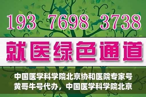 中国医学科学院北京协和医院专家号黄哥牛号代办，中国医学科学院北京协和医院专家号代办服务解析，黄哥牛号预约攻略