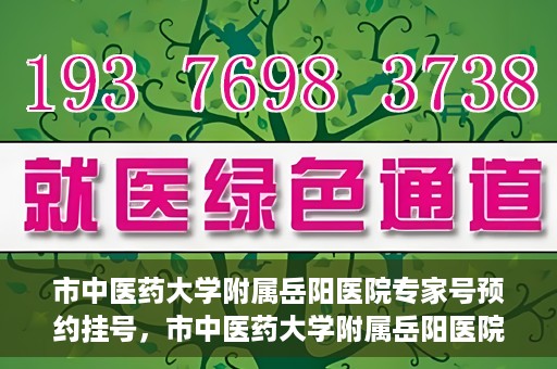 市中医药大学附属岳阳医院专家号预约挂号，市中医药大学附属岳阳医院专家号预约挂号攻略揭秘