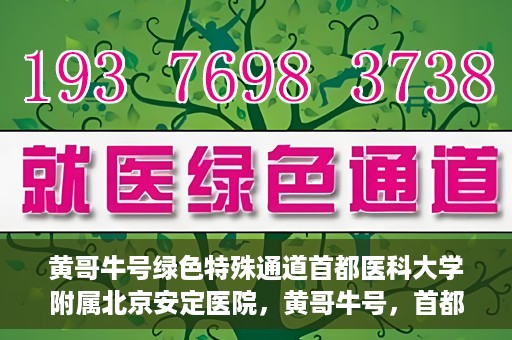 黄哥牛号绿色特殊通道首都医科大学附属北京安定医院，黄哥牛号，首都医科大学附属北京安定医院的绿色特殊通道揭秘