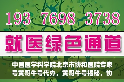 中国医学科学院北京市协和医院专家号黄哥牛号代办，黄哥牛号揭秘，协和医学专家号背后的故事与真相