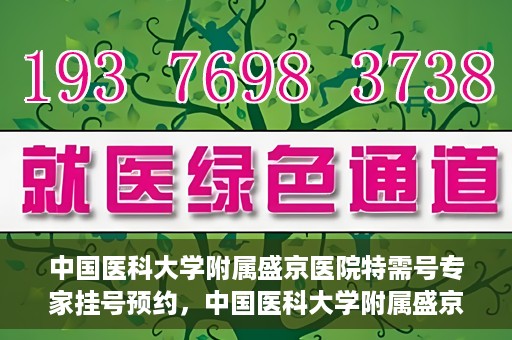 中国医科大学附属盛京医院特需号专家挂号预约，中国医科大学附属盛京医院特需专家挂号预约攻略