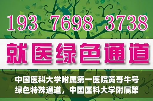 中国医科大学附属第一医院黄哥牛号绿色特殊通道，中国医科大学附属第一医院黄哥牛号，绿色特殊通道的开启与探索