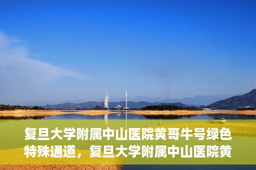 复旦大学附属中山医院黄哥牛号绿色特殊通道，复旦大学附属中山医院黄哥牛号，绿色特殊通道开启健康之门