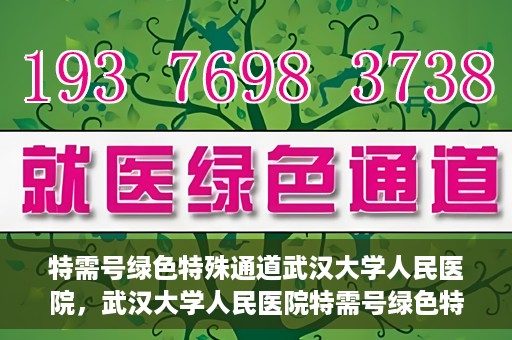 特需号绿色特殊通道武汉大学人民医院，武汉大学人民医院特需号绿色特殊通道，打造人性化医疗体验新标杆