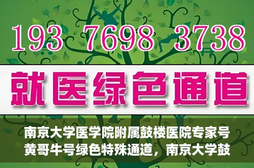 南京大学医学院附属鼓楼医院专家号黄哥牛号绿色特殊通道，南京大学鼓楼医院专家黄哥牛号绿色特殊通道揭秘