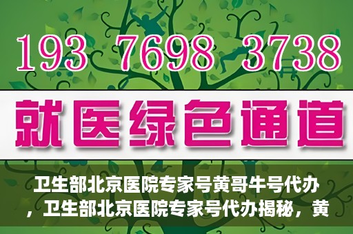 卫生部北京医院专家号黄哥牛号代办，卫生部北京医院专家号代办揭秘，黄哥牛号助您轻松预约专家资源