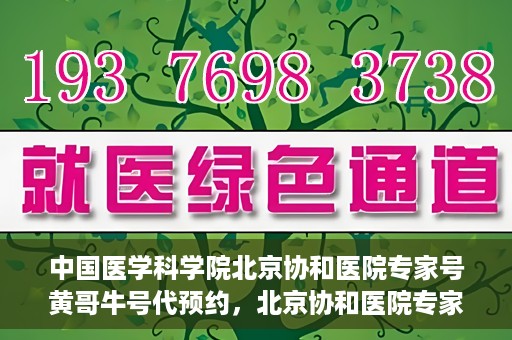 中国医学科学院北京协和医院专家号黄哥牛号代预约，北京协和医院专家黄哥牛号预约攻略，专业解读与预约指导