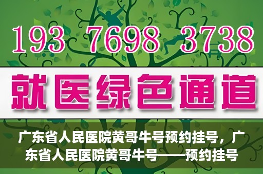 广东省人民医院黄哥牛号预约挂号，广东省人民医院黄哥牛号——预约挂号攻略