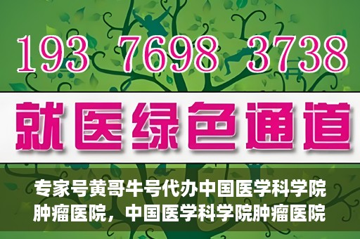 专家号黄哥牛号代办中国医学科学院肿瘤医院，中国医学科学院肿瘤医院专家号代办服务揭秘，黄哥牛号助力就医无忧