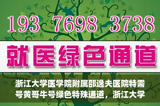 浙江大学医学院附属邵逸夫医院特需号黄哥牛号绿色特殊通道，浙江大学邵逸夫医院特需号黄哥牛号，绿色通道的独家解读