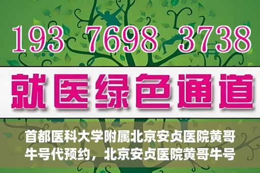 首都医科大学附属北京安贞医院黄哥牛号代预约，北京安贞医院黄哥牛号预约服务解析