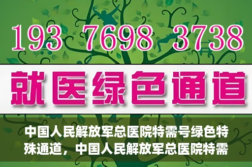 中国人民解放军总医院特需号绿色特殊通道，中国人民解放军总医院特需号绿色就医特殊通道解析