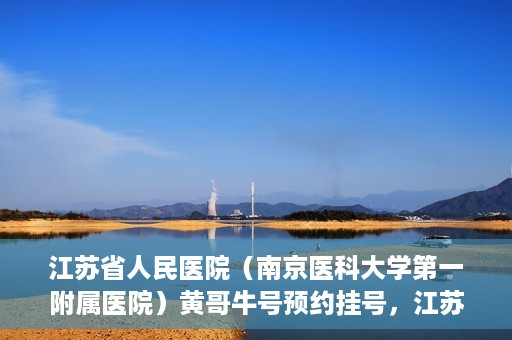 江苏省人民医院（南京医科大学第一附属医院）黄哥牛号预约挂号，江苏省人民医院（南京医科大学第一附属医院）黄哥牛号预约挂号攻略