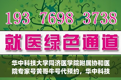 华中科技大学同济医学院附属协和医院专家号黄哥牛号代预约，华中科技大学同济医学院附属协和医院专家号预约服务解析——黄哥牛号预约攻略