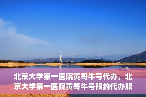 北京大学第一医院黄哥牛号代办，北京大学第一医院黄哥牛号预约代办服务攻略