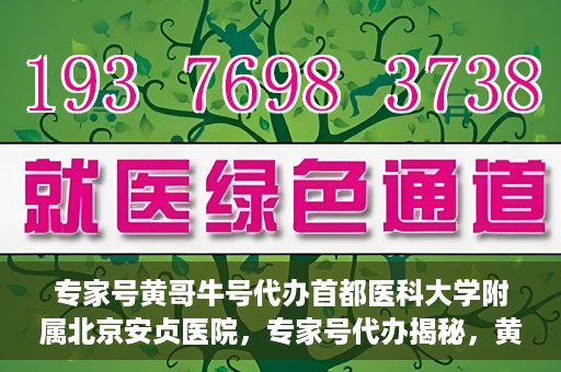专家号黄哥牛号代办首都医科大学附属北京安贞医院，专家号代办揭秘，黄哥牛号与北京安贞医院的深度解析