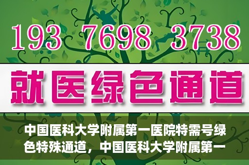 中国医科大学附属第一医院特需号绿色特殊通道，中国医科大学附属第一医院特需号绿色就医通道，打造优质医疗体验新标杆