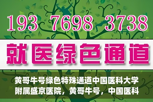 黄哥牛号绿色特殊通道中国医科大学附属盛京医院，黄哥牛号，中国医科大学附属盛京医院开启绿色特殊通道助力医疗进步
