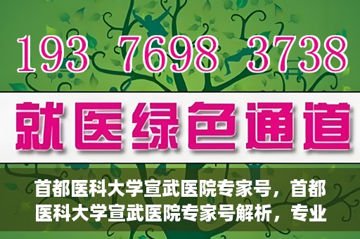 首都医科大学宣武医院专家号，首都医科大学宣武医院专家号解析，专业医疗服务的深度解读