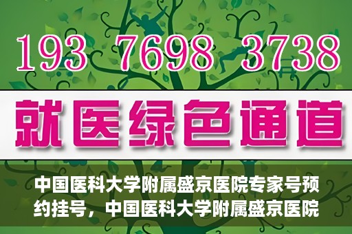 中国医科大学附属盛京医院专家号预约挂号，中国医科大学附属盛京医院专家号预约挂号攻略解析