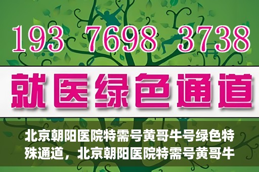 北京朝阳医院特需号黄哥牛号绿色特殊通道，北京朝阳医院特需号黄哥牛号，绿色特殊通道揭秘