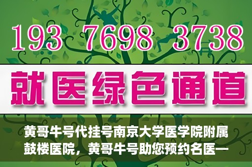 黄哥牛号代挂号南京大学医学院附属鼓楼医院，黄哥牛号助您预约名医——南京鼓楼医院挂号新体验