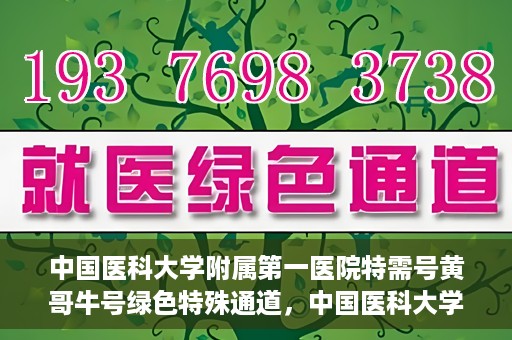 中国医科大学附属第一医院特需号黄哥牛号绿色特殊通道，中国医科大学附属第一医院特需号黄哥牛号，绿色特殊通道揭秘