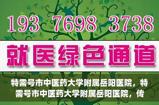特需号市中医药大学附属岳阳医院，特需号市中医药大学附属岳阳医院，传统医学与现代医疗的交融之地
