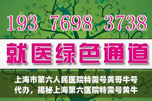 上海市第六人民医院特需号黄哥牛号代办，揭秘上海第六医院特需号黄牛现象，黄哥牛号代办背后的故事